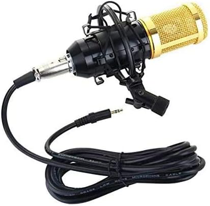 PROFESSIONAL CONDENSER Microphone, Live Sound Card