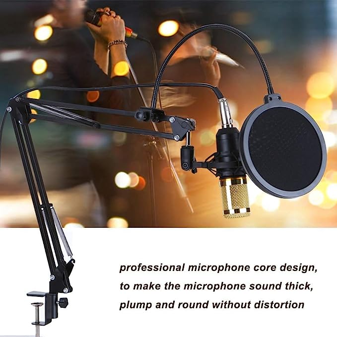 PROFESSIONAL CONDENSER Microphone, Live Sound Card